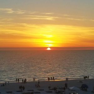 Meet your Posher, Donald